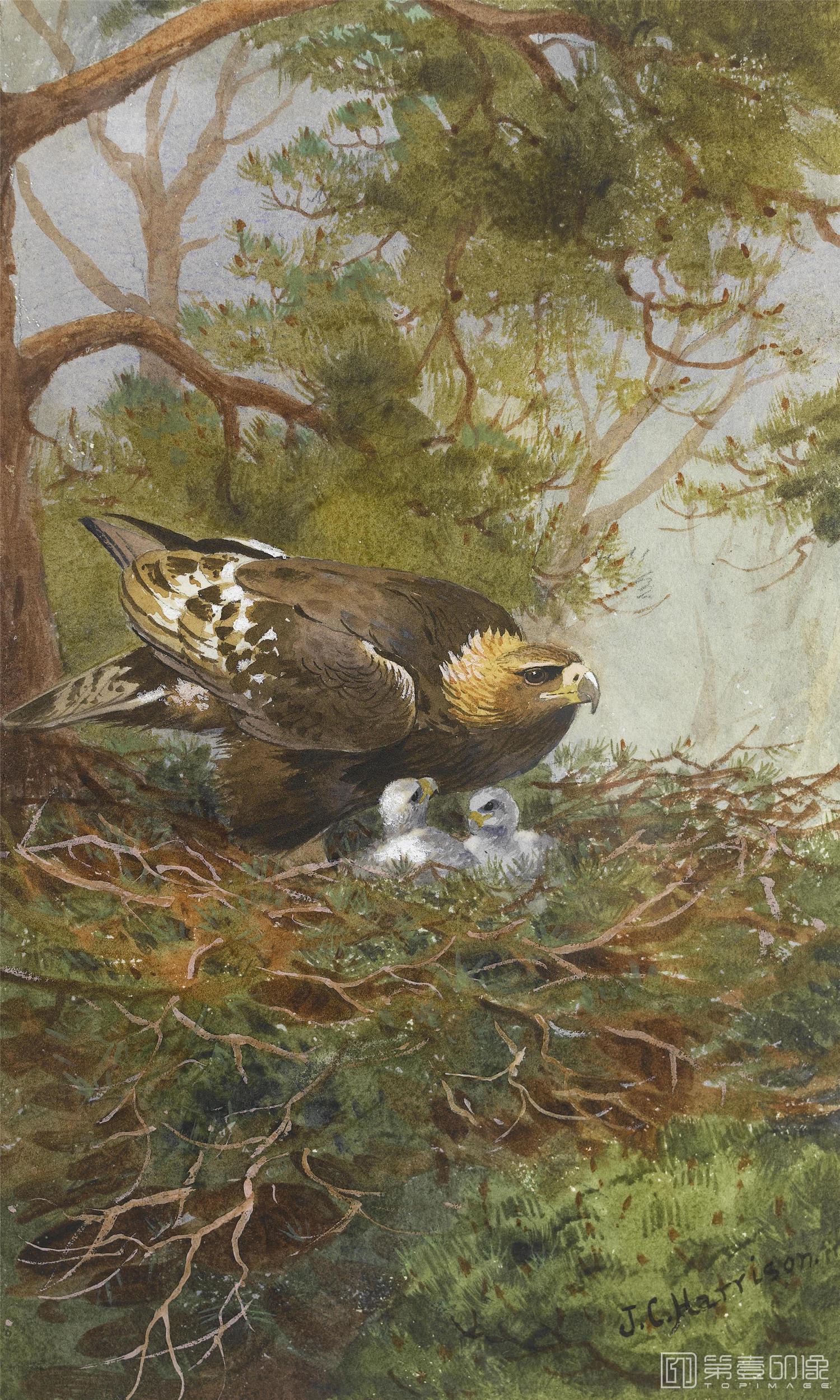 油画-约翰.赛里尔·哈里森 John Harrison作品集-048
